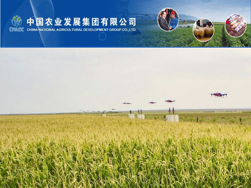 中国农业发展集团总公司门户网站与云享数字报内刊项目数字报刊系统平台软件-政府行业案例案例